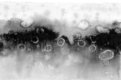 Picture of ABSTRACT BLACK AND WHITE