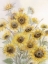 Picture of SUNFLOWERS IN WATERING CAN 2