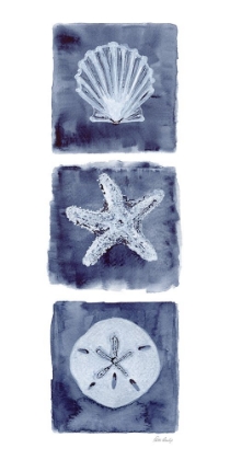 Picture of SHELLS STAR DOLLAR INDIGO