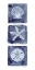 Picture of SHELLS STAR DOLLAR INDIGO