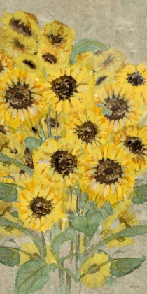 Picture of TALL SUNFLOWERS