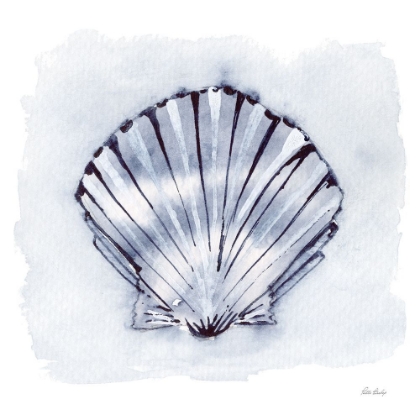 Picture of BLUE WHITE SCALLOP