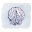 Picture of BLUE WHITE SCALLOP 2
