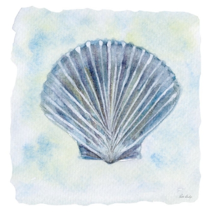 Picture of BLUE SCALLOP 1