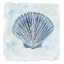 Picture of BLUE SCALLOP 1