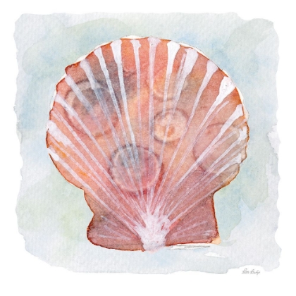 Picture of PEACH WHITE SCALLOP 1