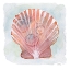 Picture of PEACH WHITE SCALLOP 1