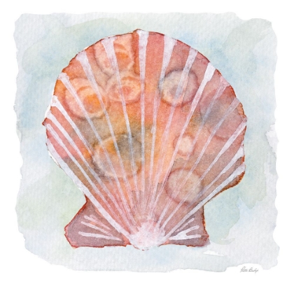 Picture of PEACH WHITE SCALLOP 2