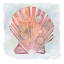 Picture of PEACH WHITE SCALLOP 2