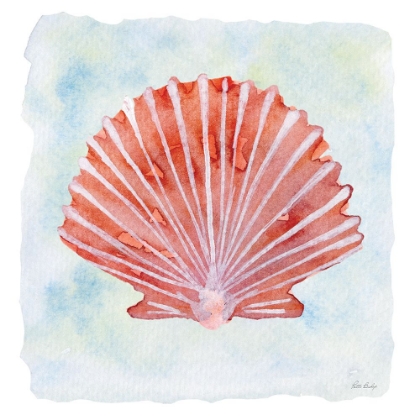 Picture of PEACH SCALLOP 1