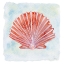 Picture of PEACH SCALLOP 1