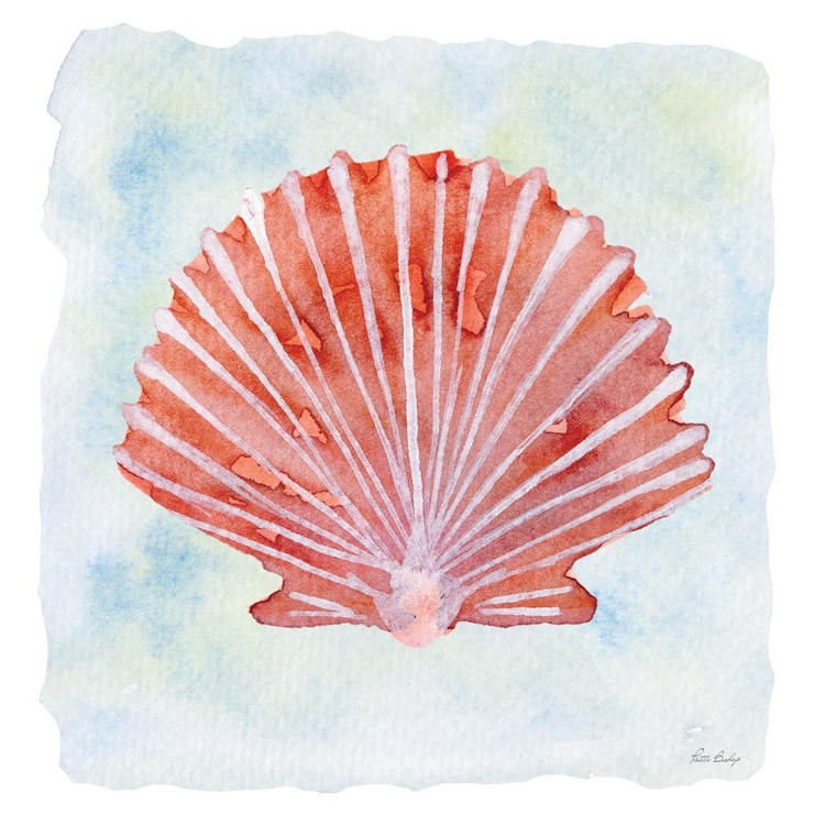 Picture of PEACH SCALLOP 1