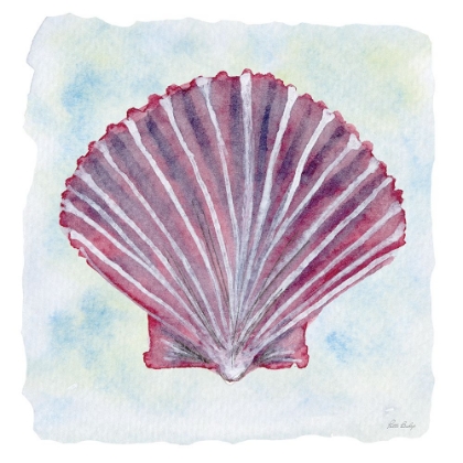 Picture of PURPLE WHITE SCALLOP 4