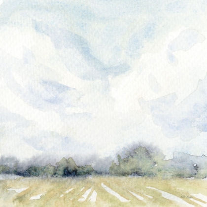 Picture of FIELD