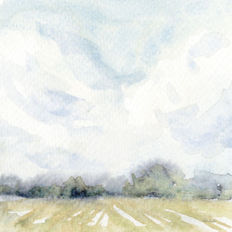 Picture of FIELD