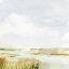 Picture of MARSH 1