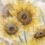 Picture of SUNFLOWERS IN WATERING CAN 6