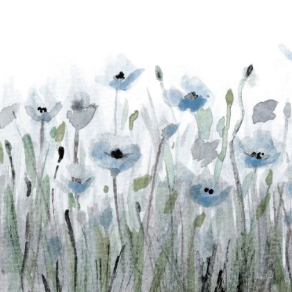 Picture of DUSTY BLUE POPPY