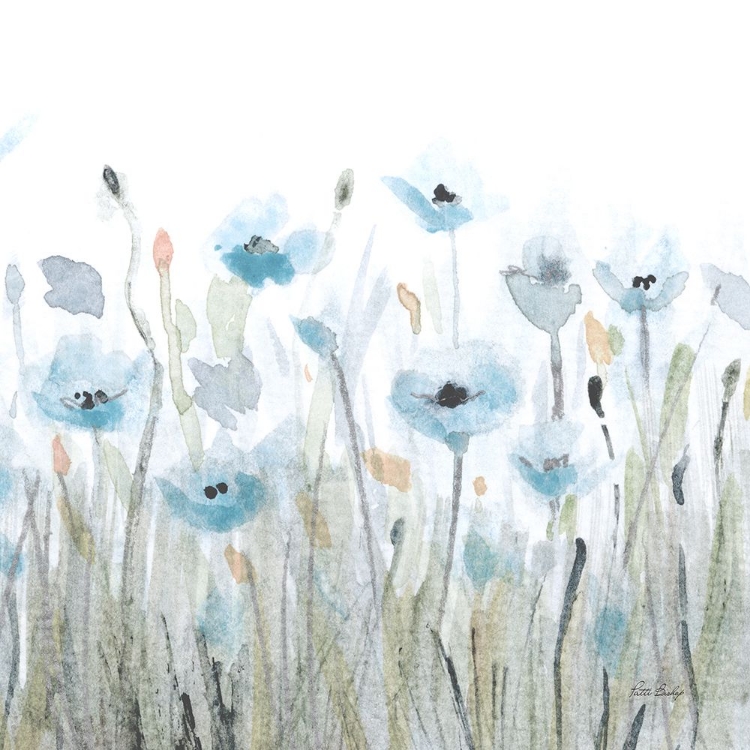Picture of DUSTY BLUE PINK POPPY 2