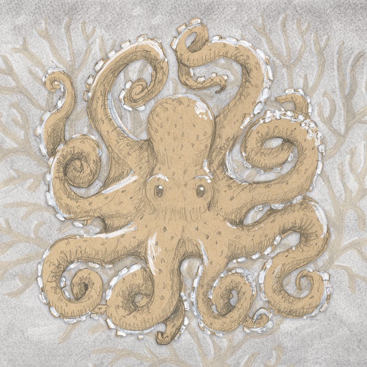 Picture of OCTOPUS DRAWING 1