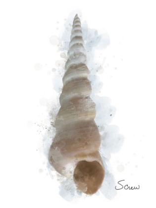 Picture of HONEYBLOOM COASTAL SHELL SCREW