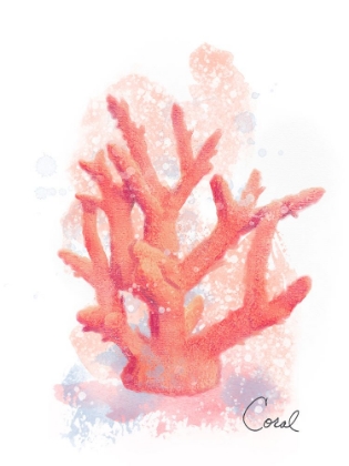 Picture of HONEYBLOOM COASTAL CORAL