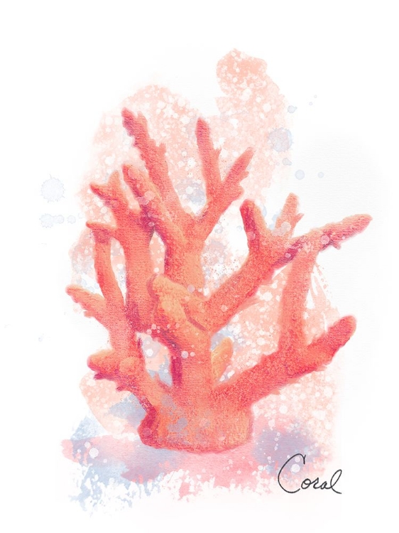 Picture of HONEYBLOOM COASTAL CORAL