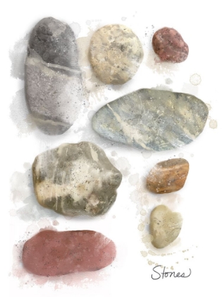 Picture of HONEYBLOOM COASTAL BEACH STONES