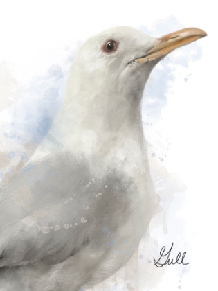 Picture of HONEYBLOOM COASTAL SEAGULL