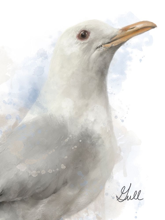 Picture of HONEYBLOOM COASTAL SEAGULL
