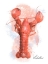 Picture of HONEYBLOOM COASTAL SEAFOOD LOBSTER
