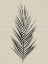 Picture of LINEN BOTANICAL DATE PALM