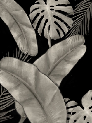 Picture of BOTANICAL FRONDS BLACK