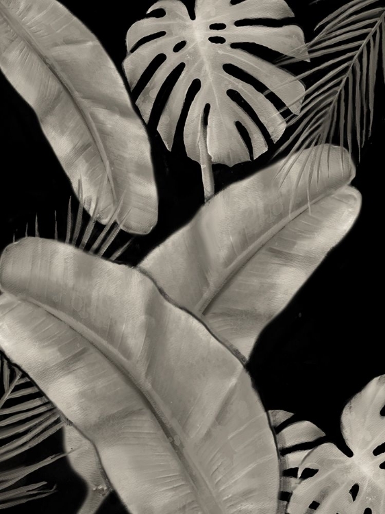 Picture of BOTANICAL FRONDS BLACK