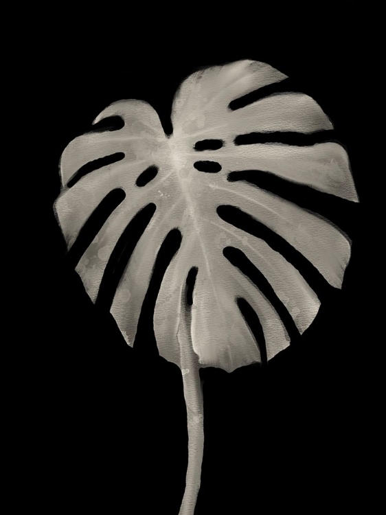 Picture of BOTANICAL LEAF BLACK