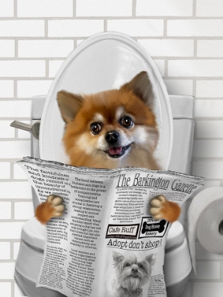 Picture of WHIMSY ANIMALS DOG ON TOILET
