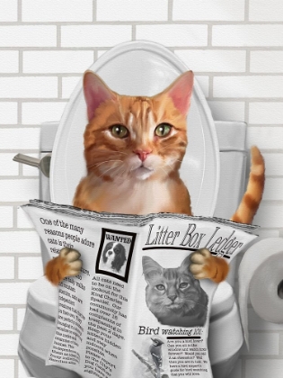 Picture of WHIMSY ANIMALS CAT ON TOILET