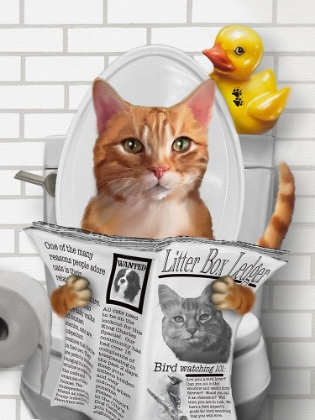 Picture of WHIMSY ANIMALS CAT ON TOILET WITH DUCKY