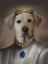 Picture of ROYAL PRINCE LAB