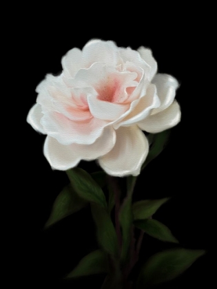 Picture of FLORAL MOODY CAMELLIA