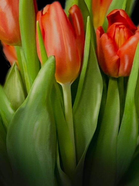 Picture of FLORAL MOODY TULIPS 2