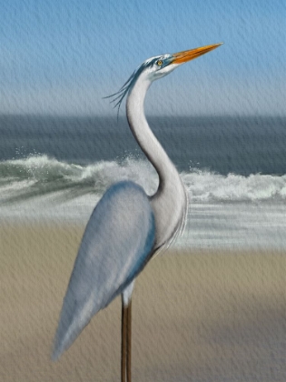Picture of FLAG COASTAL BLUE HERON