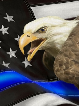 Picture of POLICE BLUE LINE EAGLE