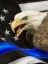 Picture of POLICE BLUE LINE EAGLE