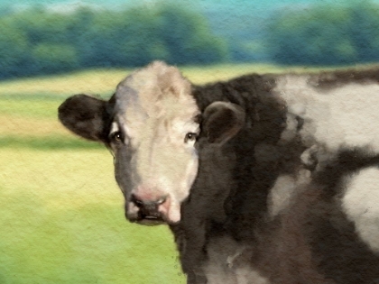 Picture of FARM GREEN LANDSCAPE COW