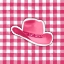Picture of PINK PLAID COWGIRL HAT