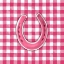 Picture of PINK PLAID HORSESHOE