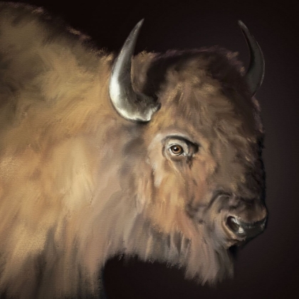 Picture of WESTERN BUFFALO BLACK