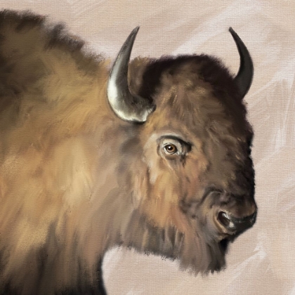 Picture of WESTERN BUFFALO NEUTRAL