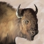 Picture of WESTERN BUFFALO NEUTRAL